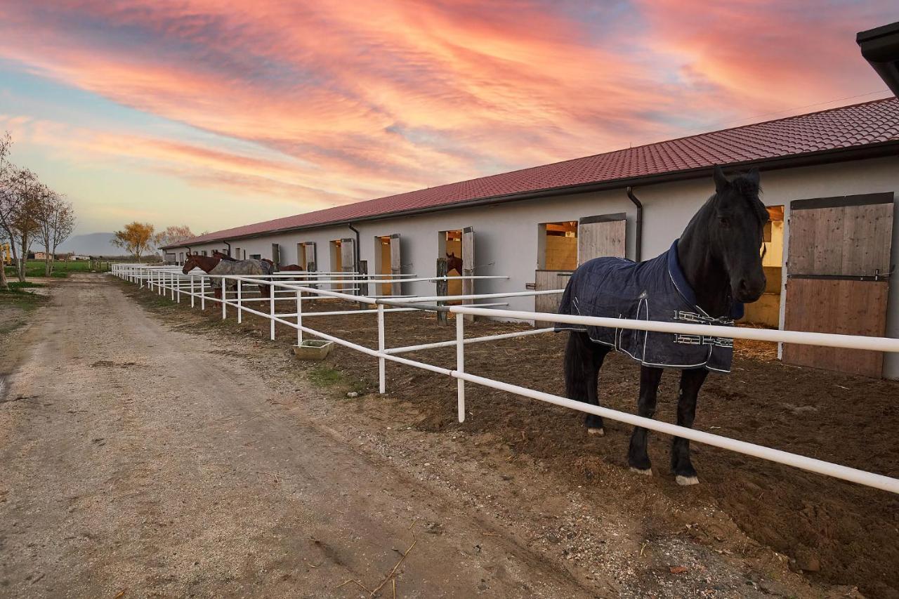 Brussa Horse Oasi Vila Caorle Exterior foto